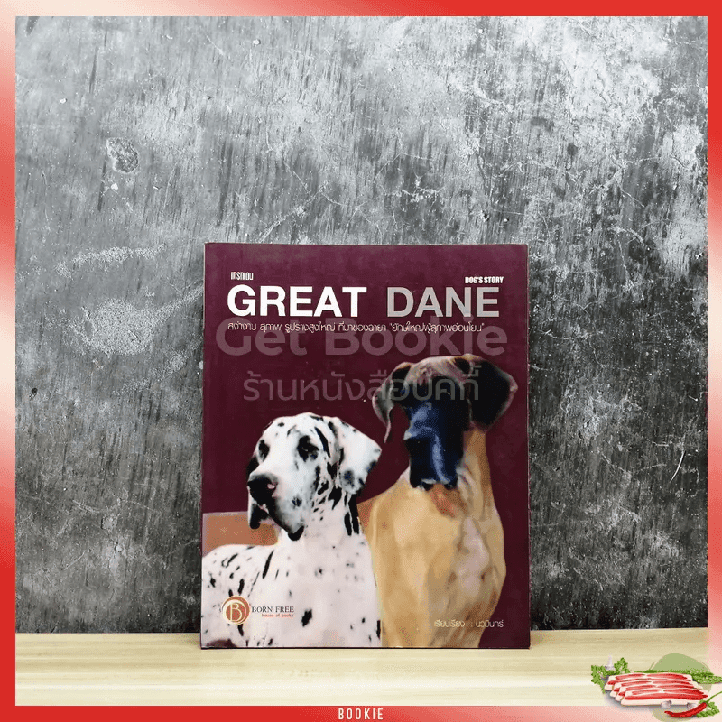 Great Dane Dog's Story