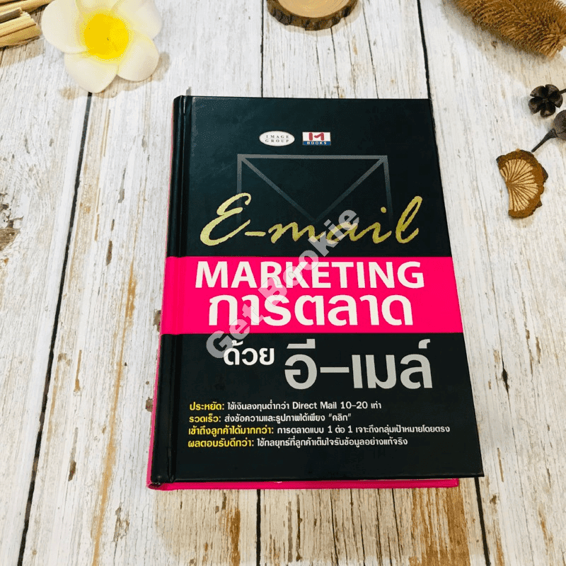 E-mail Marketing การตลาดด้วยอี-เมล์